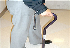Gait and balance training